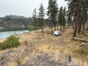 Awesome location for building or camping tucked into the pines beside Horseshoe Lake!