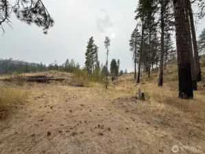 Plenty of level ground for parking, additional camping, etc.