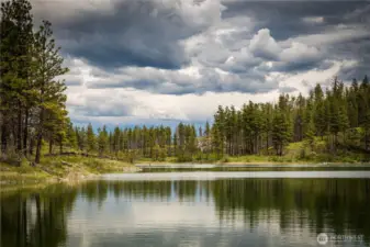 The vibrant green of spring at Horseshoe Lake.