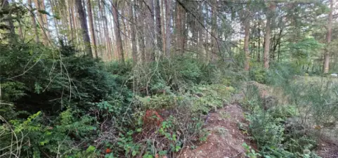 Property line near center of photo, lot is left of drainage ditch.