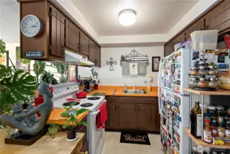 Typical kitchen.