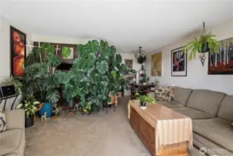 Typical living area.