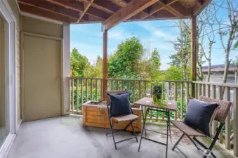 Storage closet off the covered patio.
