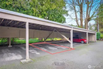 Reserved covered parking spot.