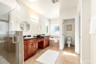Luxurious primary bathroom
