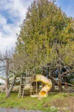 playhouse in backyard behind greenhouses