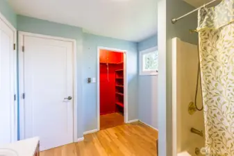 bathroom with large storage area
