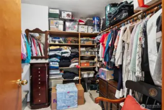 Primary Bedroom walk-in closet. Built-in shelving. Carpeted flooring.