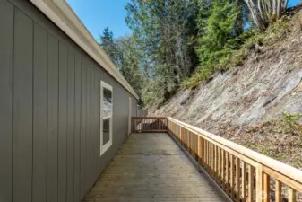 Expansive back deck