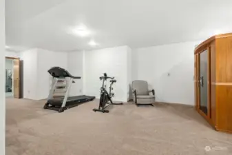 The lower level has two main areas which can be used as another family room, workout area, etc. It is also plumbed for a possible second kitchen. - The infrared sauna provides healthy relaxation after your workout.   (negotiable!)