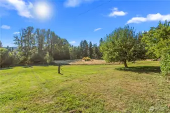 Flat lawn area and fruit trees.