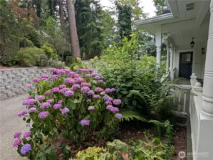 Front Porch Gardens & Landscaping in full bloom (July/Aug)