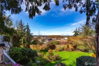 View from deck