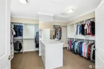 The incredible primary walk-in-closet has ample hanging space, shelving and a built-in dresser as well. Note crown molding and ample lighting.