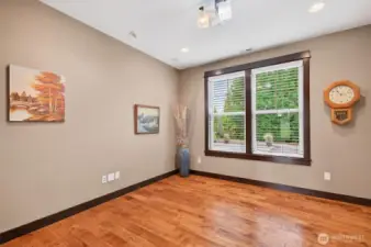 Den/Extra finished room