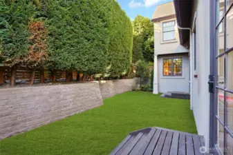 Back yard with grass (virtual)