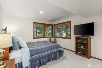 Lower level bedroom 4.