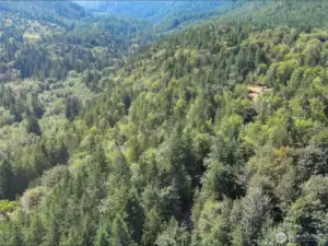 Your future secluded homesite in the woods seen at the top right.