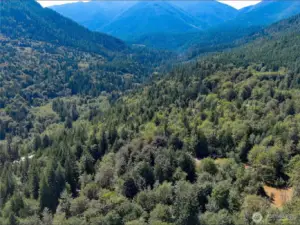 Homesite is at the lower right corner above the Big Quil River and the National Fish Hatchery.