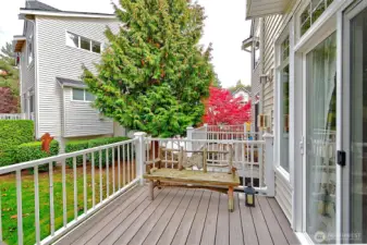 Another View of Deck from Living Room
