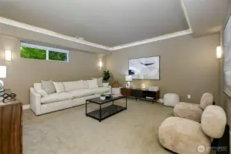 Media room on lower level