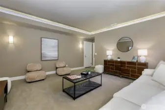 media, game or recreation room.