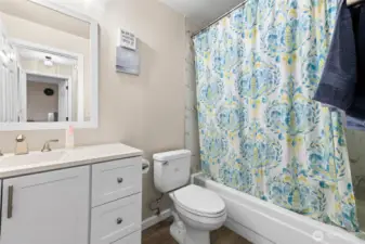Full Hallway Bathroom