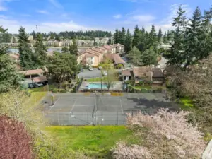 Sports Court- Lakeside Village Condos