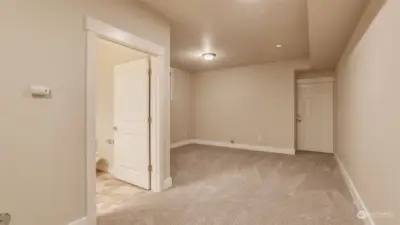 Finished basement, also has new carpet!