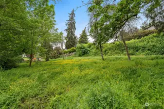 Ground View Photo of Property