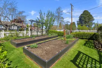 Raised garden beds