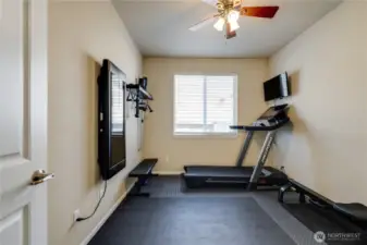 Downstairs Bedroom
