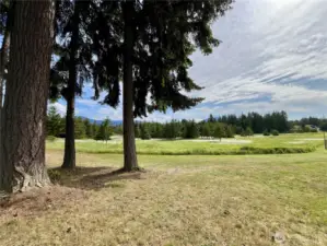 Meadow view