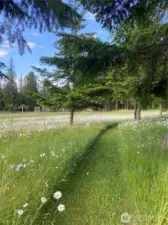 Trail 1