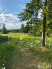 Trail 2
