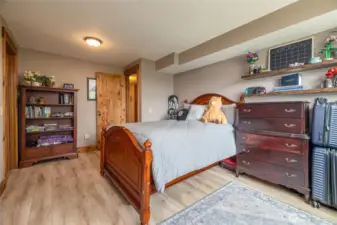 4th lower bedroom, large closets.