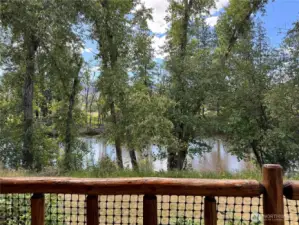back deck