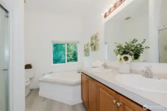 Primary suite featuring dual vanities and private bath.