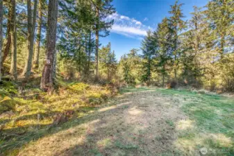 Driveway leading to the building circle.