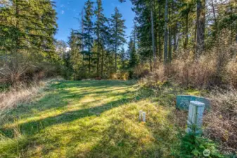 Looking back from the utility cluster towards the driveway.