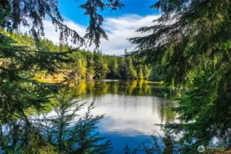 Captivating lake vista from Girls' Island, where evergreens shimmer on the water’s surface and eagles sweep silently through the sky above Eagle Lake.