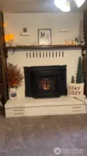 Cozy fireplace with pellet stove