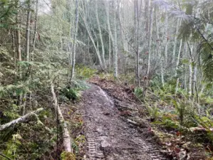 Large lower part of lot has a trail going through it. Perfect for garage!