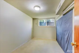 4th lower level bedroom