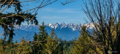 This picture taken from the back deck!