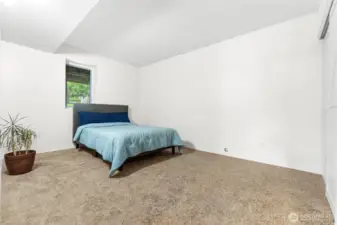 3rd Bedroom - Lower level