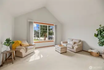 Valuted ceilings and formal living area