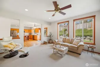 Plenty of windows in the family room