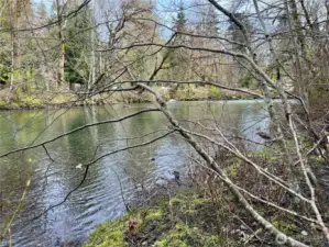 Relax in the beauty of nature