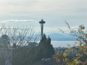 Stunning view of the iconic Space Needle framed by lush greenery and serene surroundings.